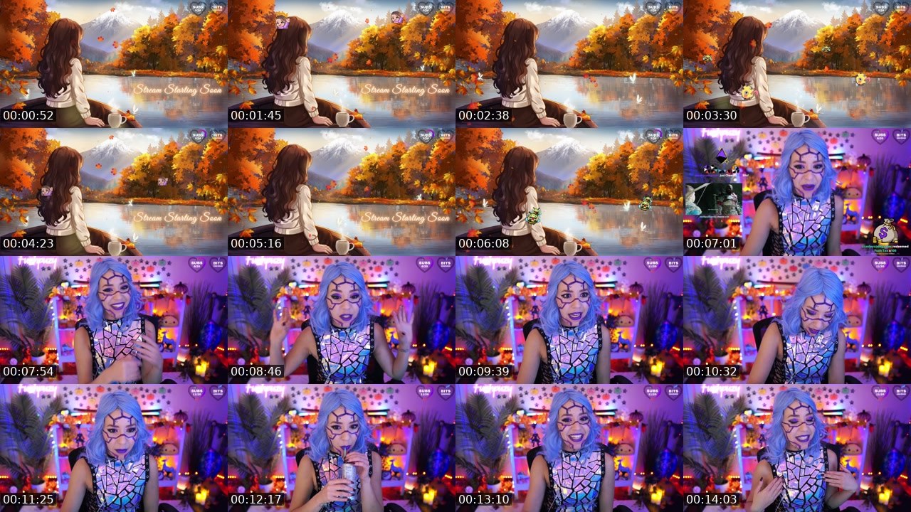 Contact-sheet preview of Fuzhpuzy's Twitch recording