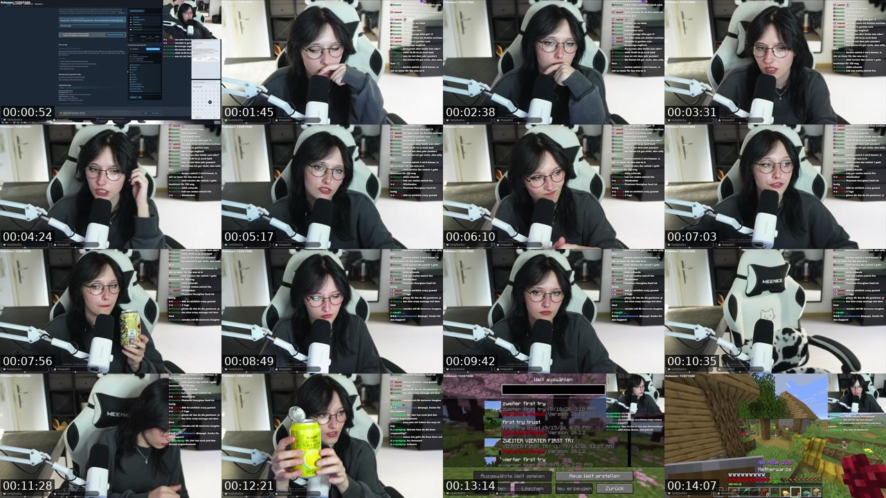 Contact-sheet preview of Weeelpe's Twitch recording