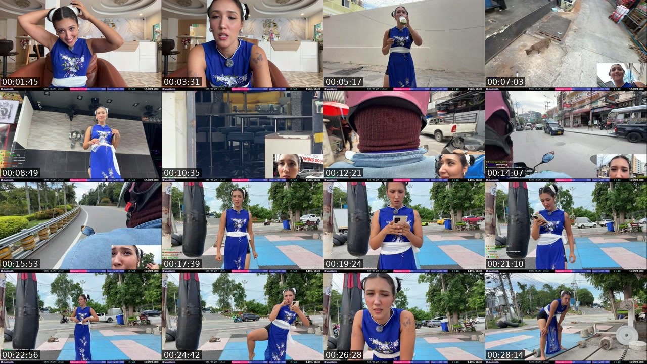 Contact-sheet preview of justketh's Twitch recording