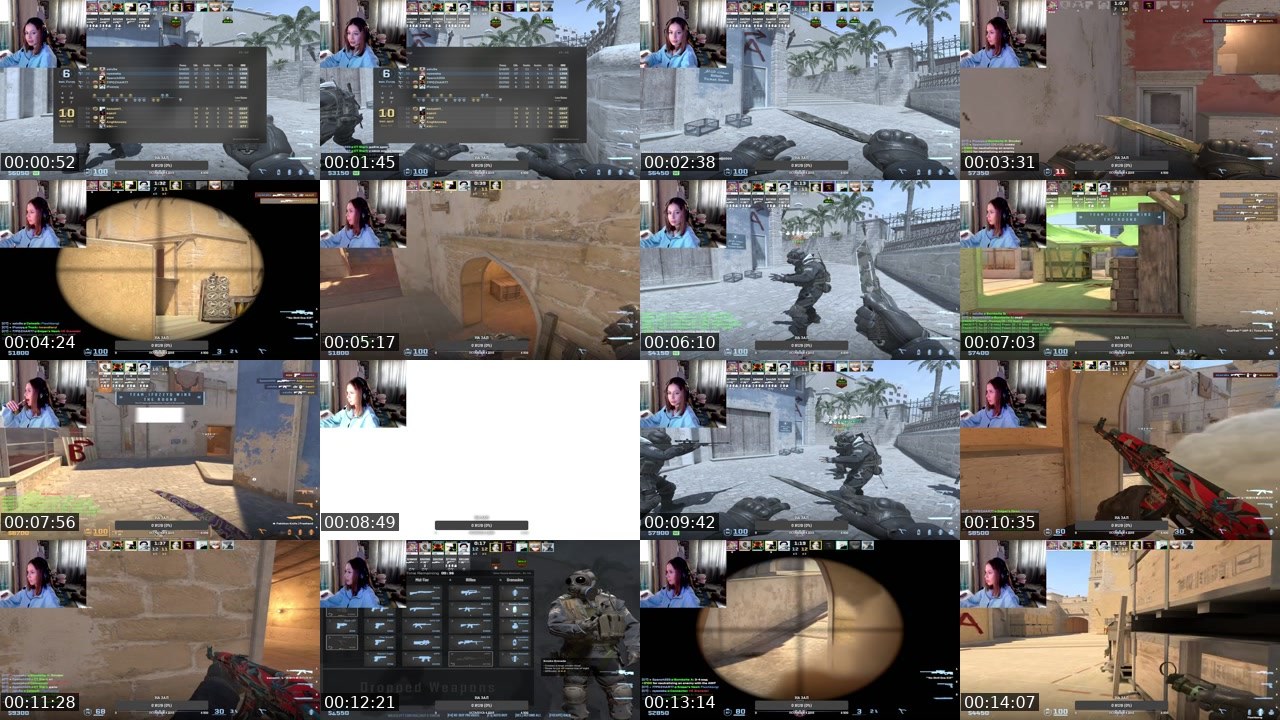 Contact-sheet preview of ariwka21's Twitch recording