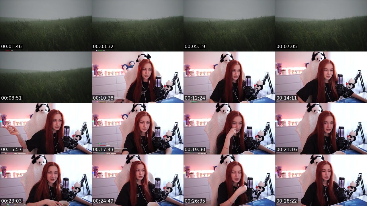 Contact-sheet preview of MissAlina23's Twitch recording