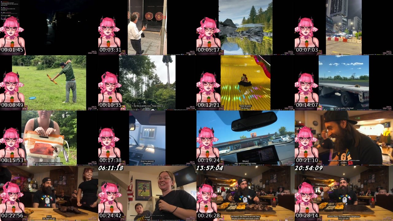 Contact-sheet preview of akiwoo's Twitch recording