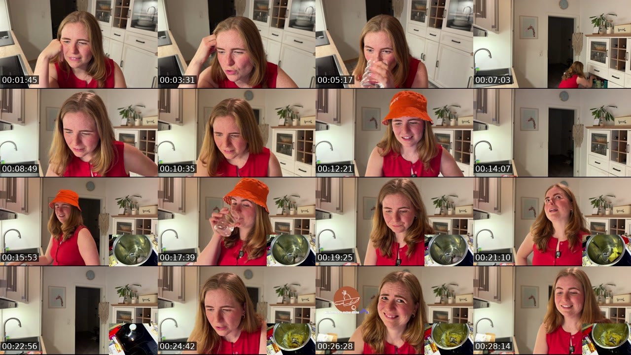 Contact-sheet preview of Feuerkopf_Elena's Twitch recording