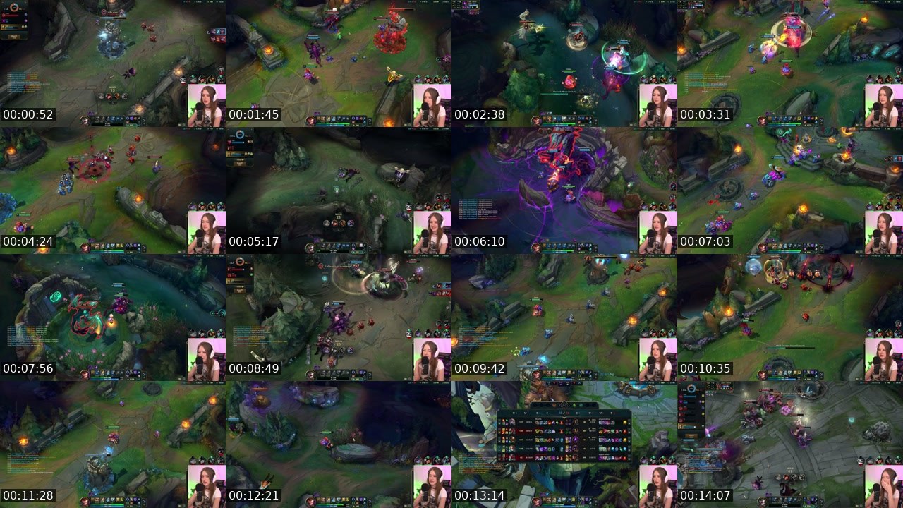 Contact-sheet preview of Diddly's Twitch recording