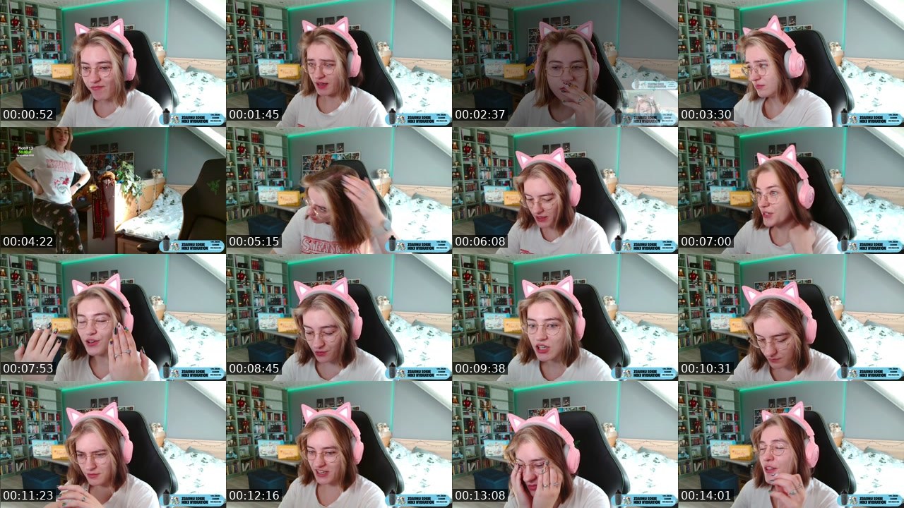Contact-sheet preview of Menders_7's Twitch recording