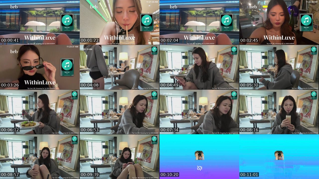 Contact-sheet preview of WithinLUXE's Twitch recording