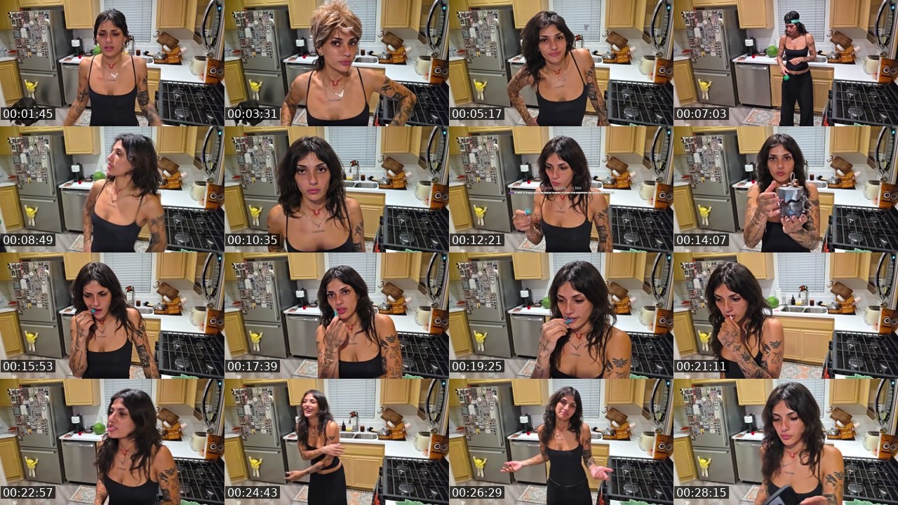 Contact-sheet preview of noordabash's Twitch recording