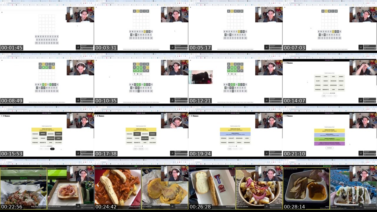Contact-sheet preview of ilovecapybarasssss's Twitch recording