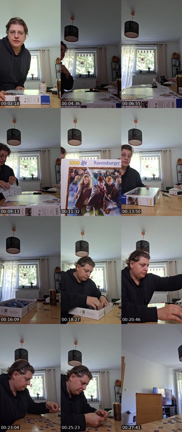 Contact-sheet preview of dinohatkeinenplan's Twitch recording