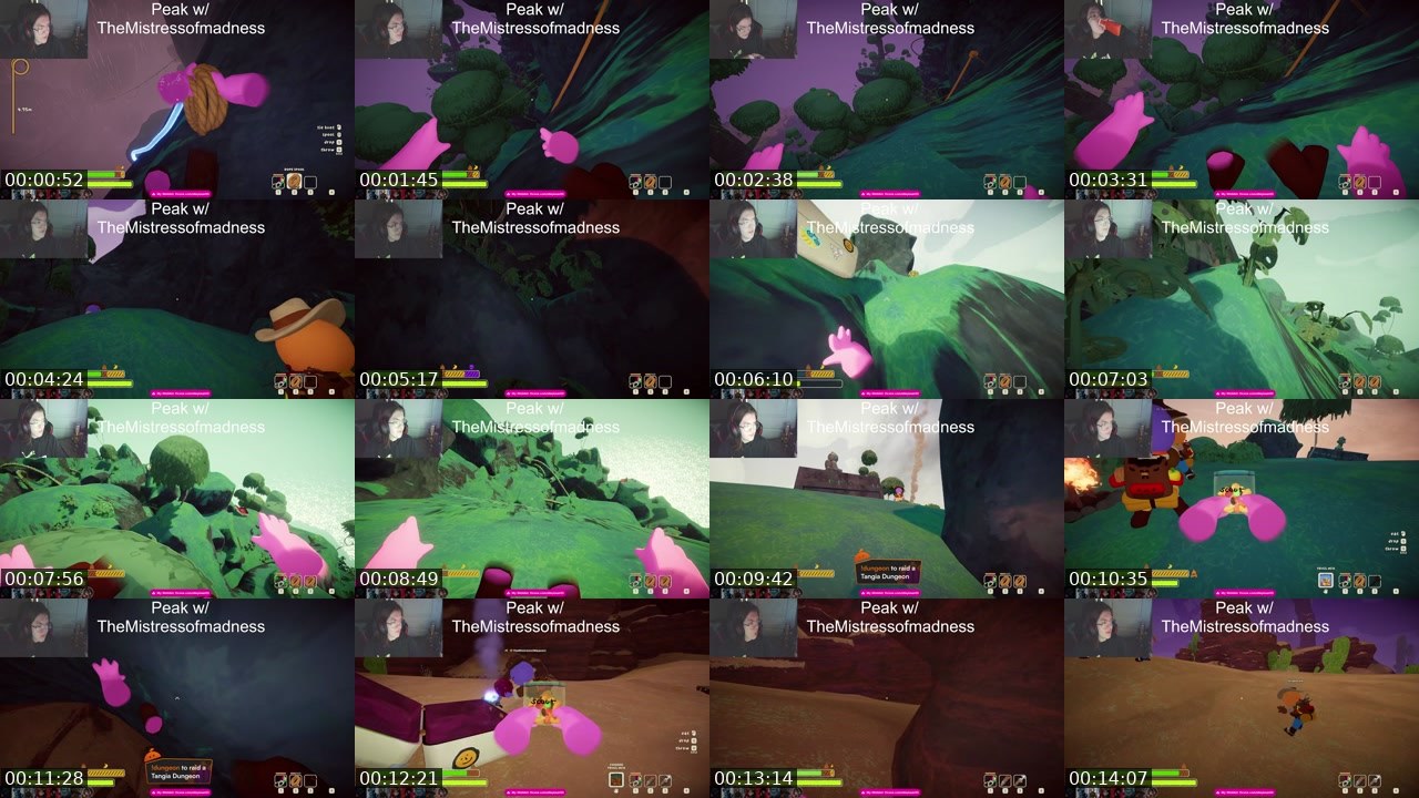 Contact-sheet preview of alleybear00's Twitch recording