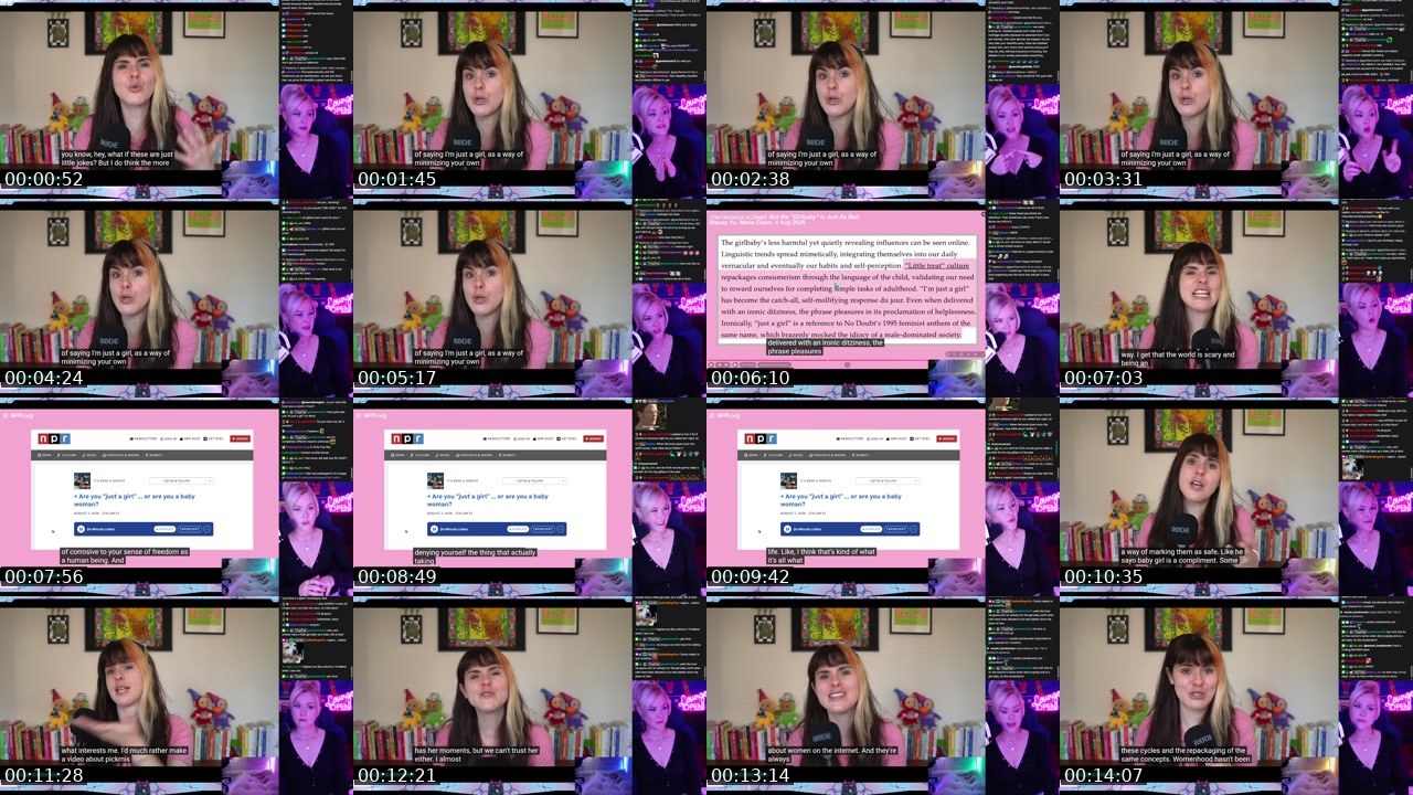 Contact-sheet preview of neurodetergent's Twitch recording