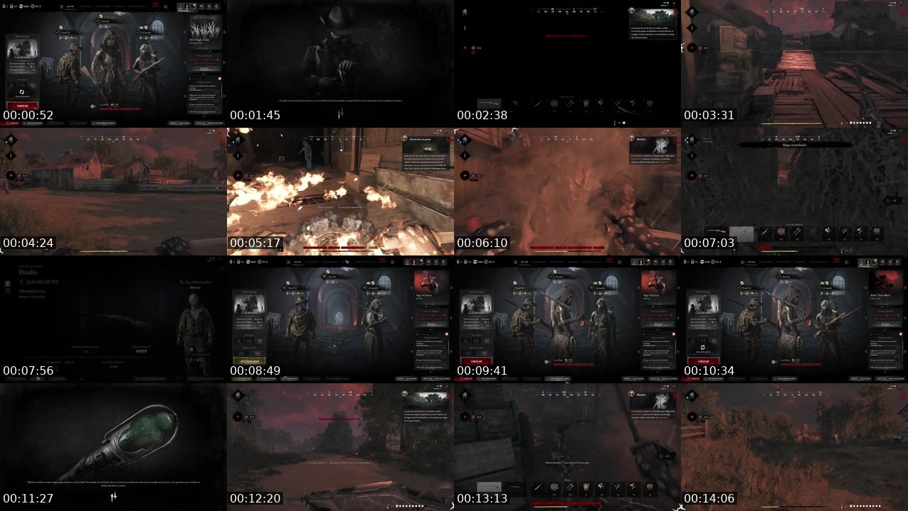 Contact-sheet preview of Anuchis's Twitch recording