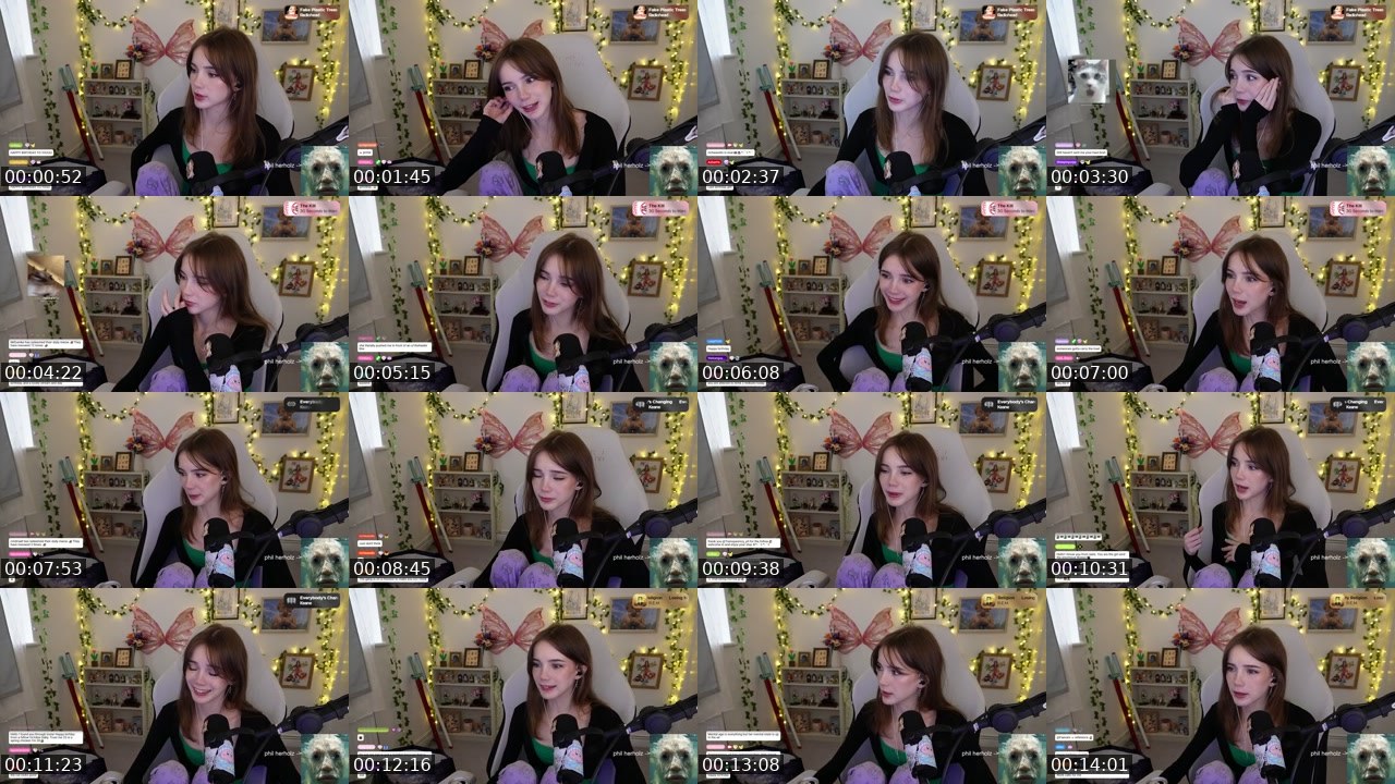 Contact-sheet preview of hollsbeauti's Twitch recording