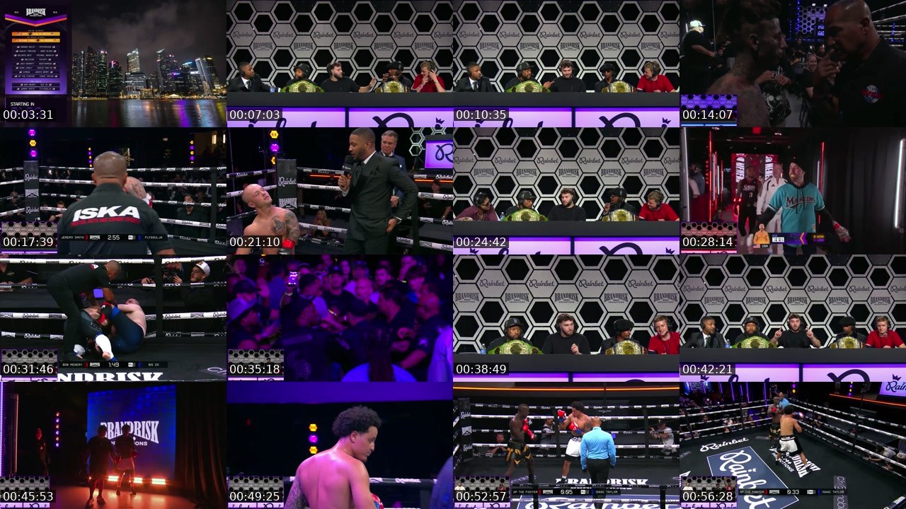 Contact-sheet preview of AdinRoss's Twitch recording