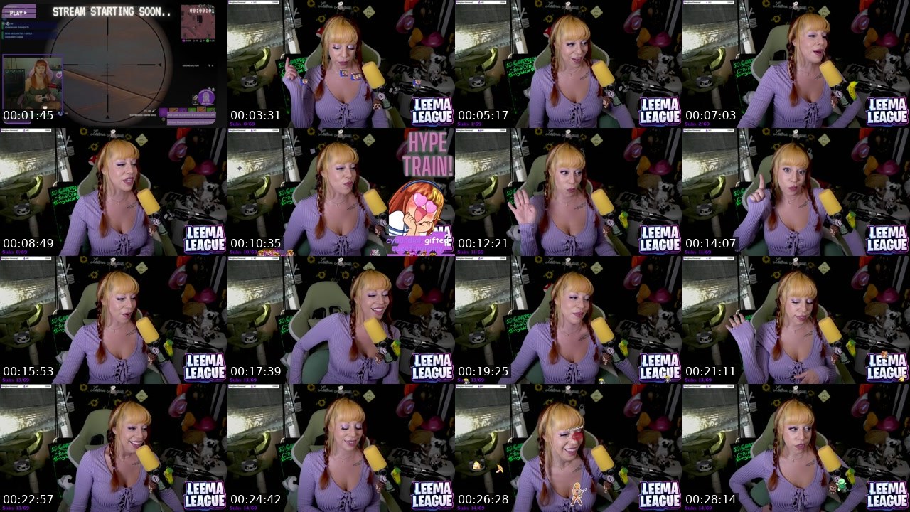 Contact-sheet preview of MissLeemaLee's Twitch recording