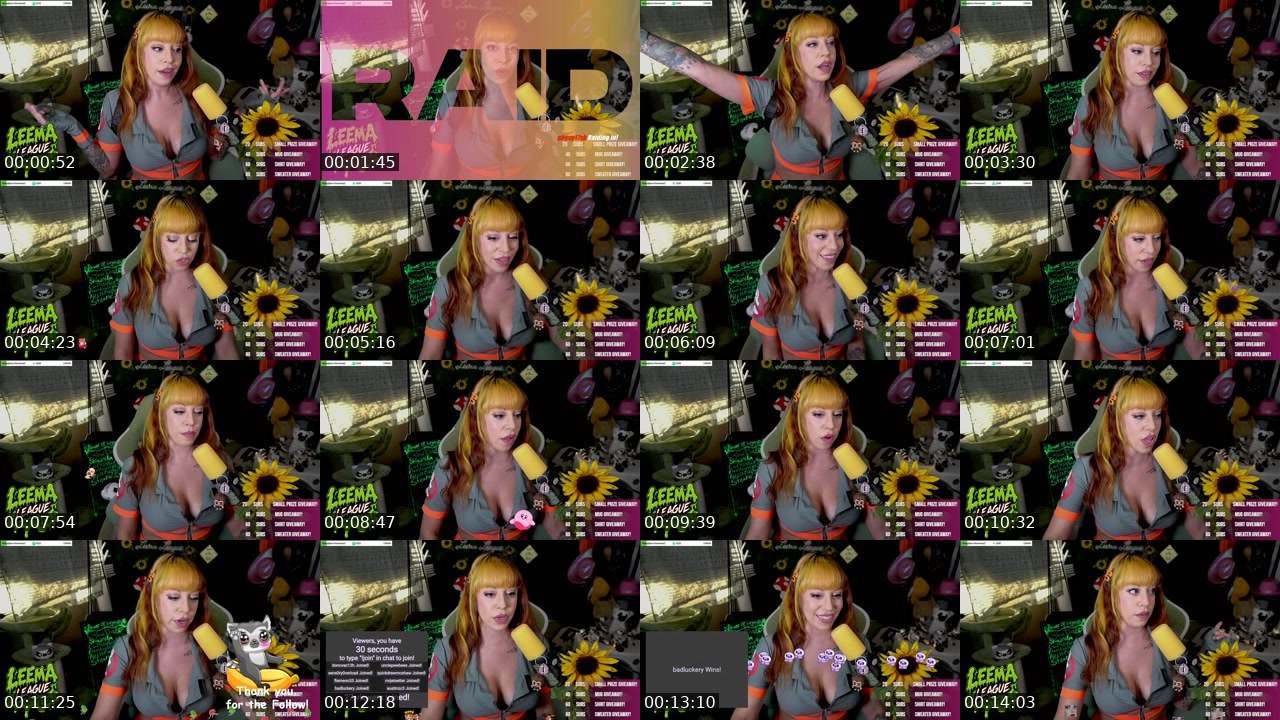 Contact-sheet preview of MissLeemaLee's Twitch recording