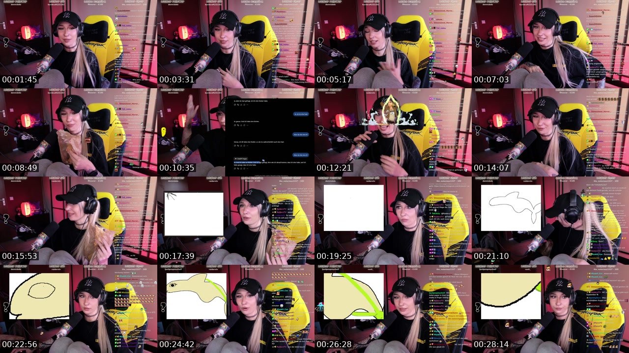Contact-sheet preview of Birbeeh's Twitch recording