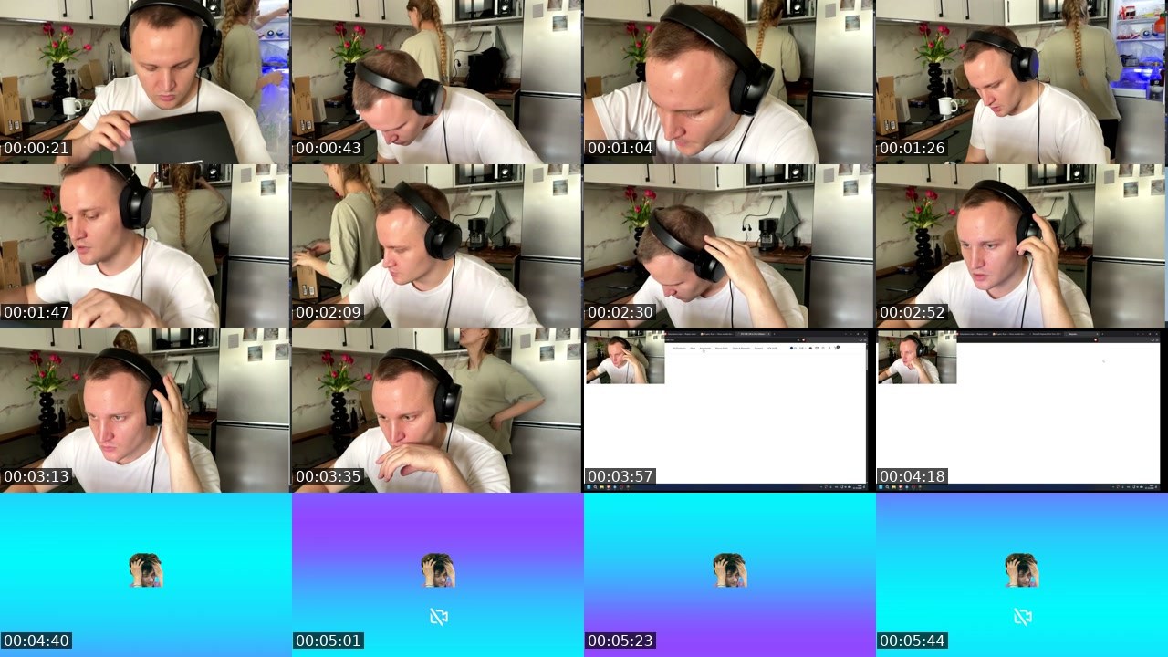 Contact-sheet preview of sitiss's Twitch recording