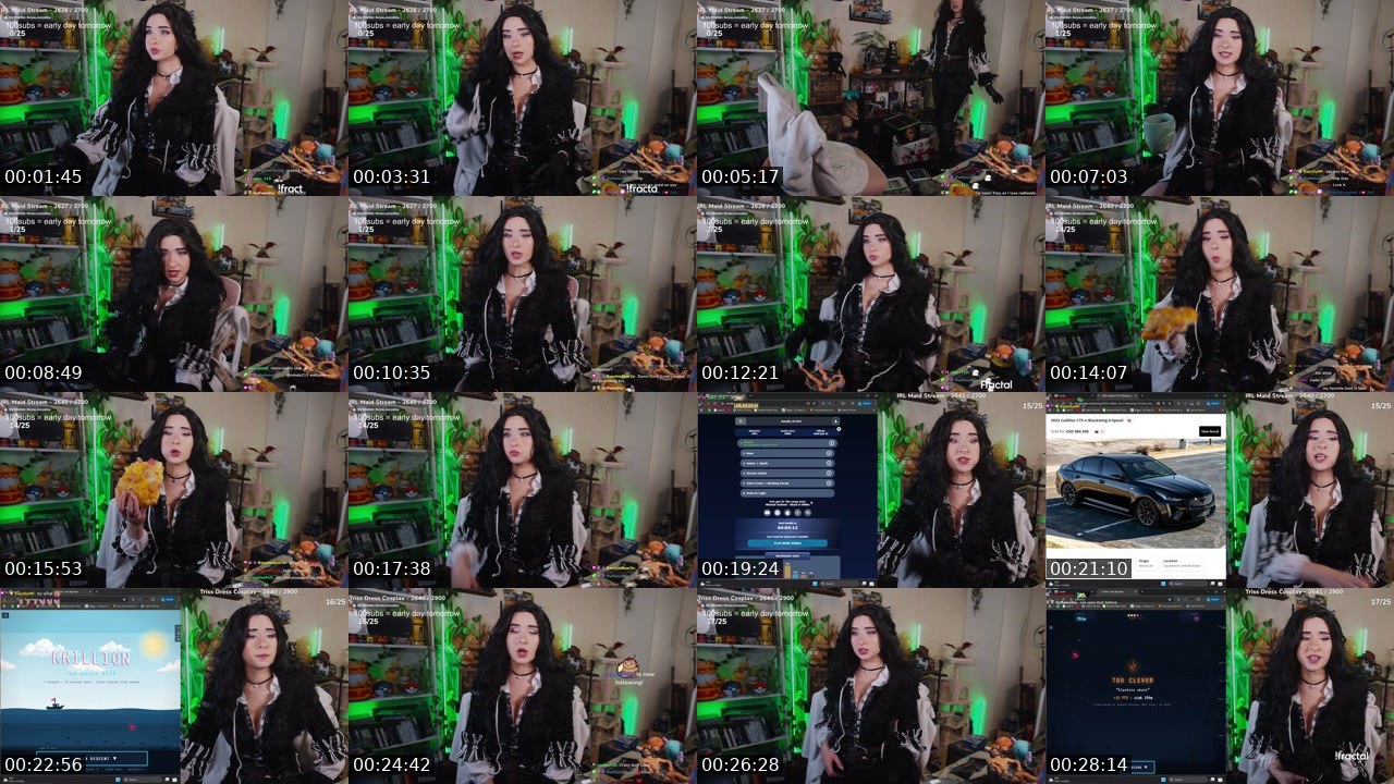Contact-sheet preview of Elina's Twitch recording