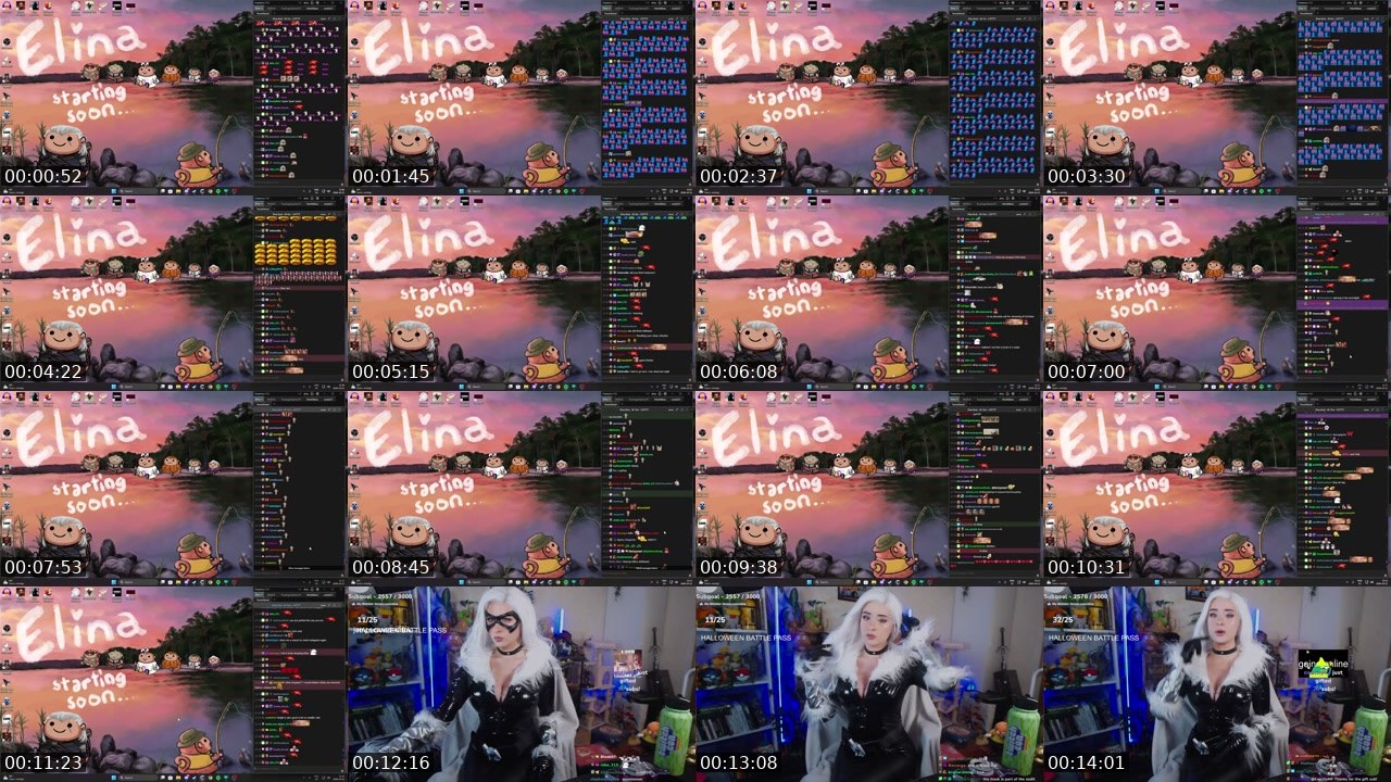 Contact-sheet preview of Elina's Twitch recording