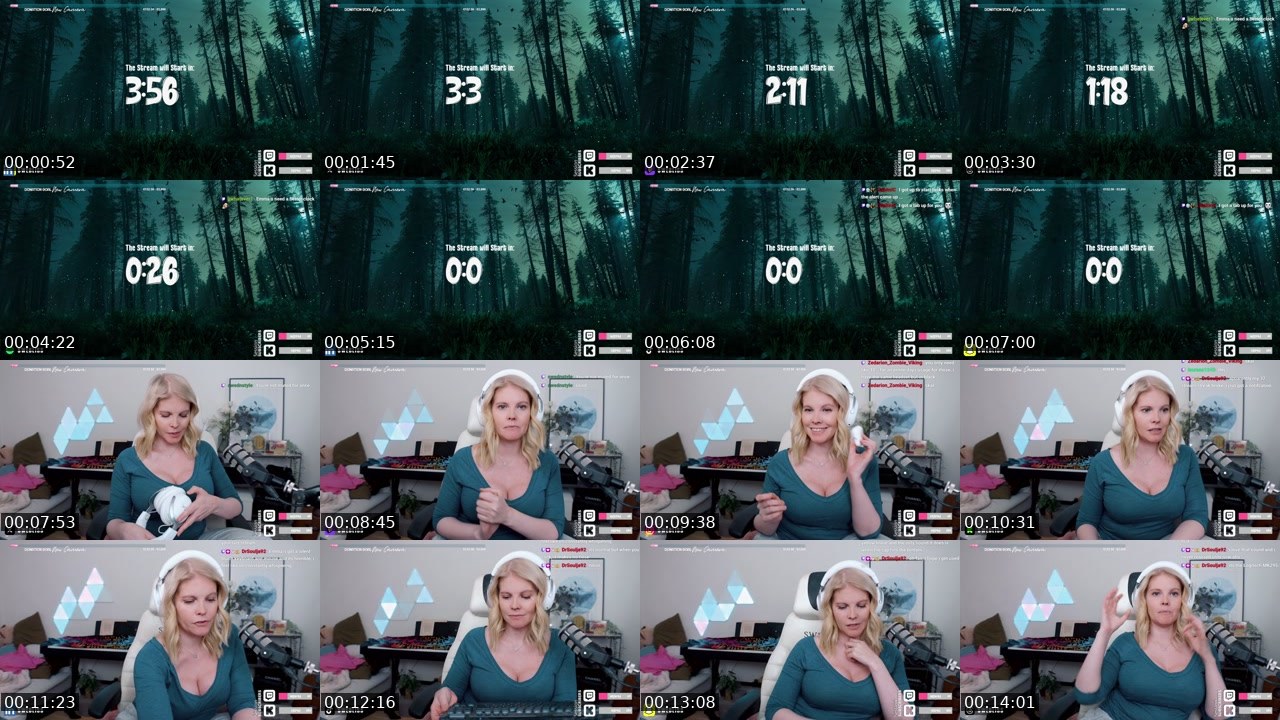 Contact-sheet preview of Swebliss's Twitch recording
