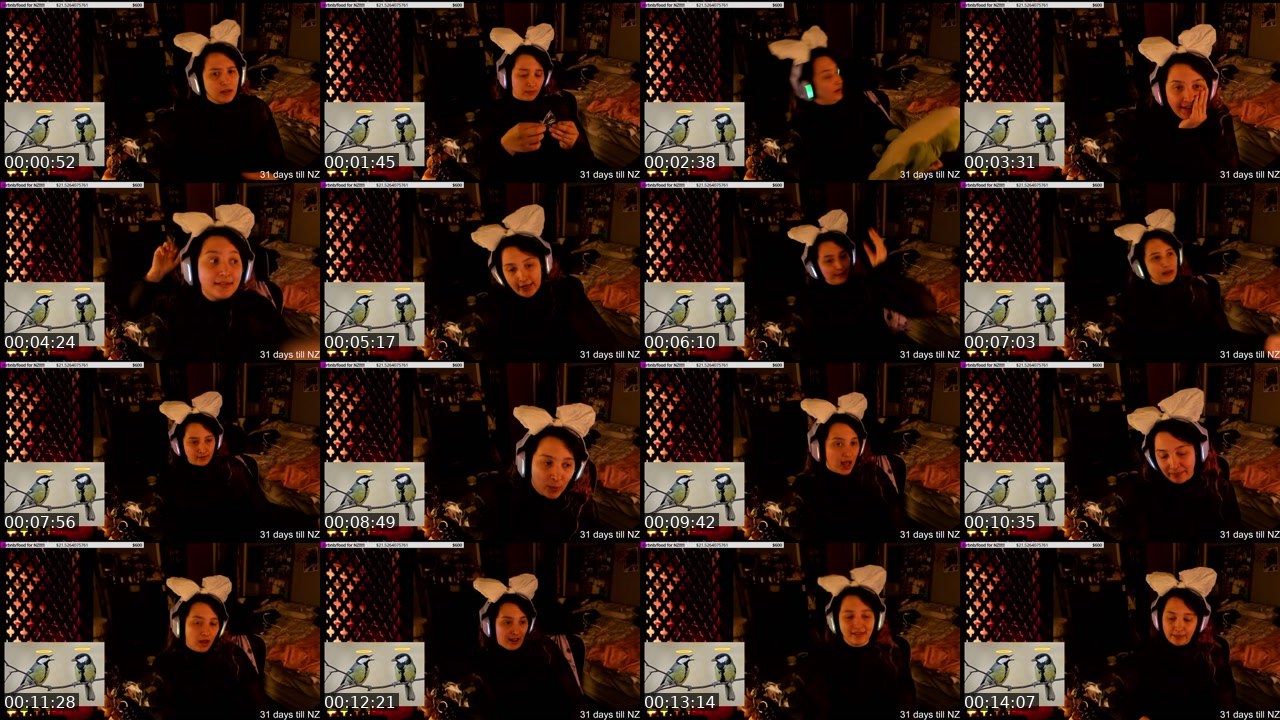 Contact-sheet preview of LivionaPrayers's Twitch recording