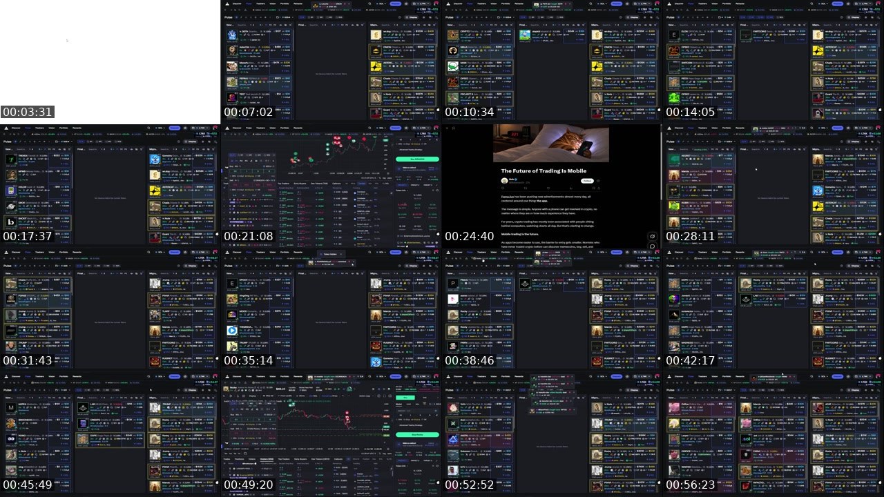 Contact-sheet preview of palletswastaken's Twitch recording