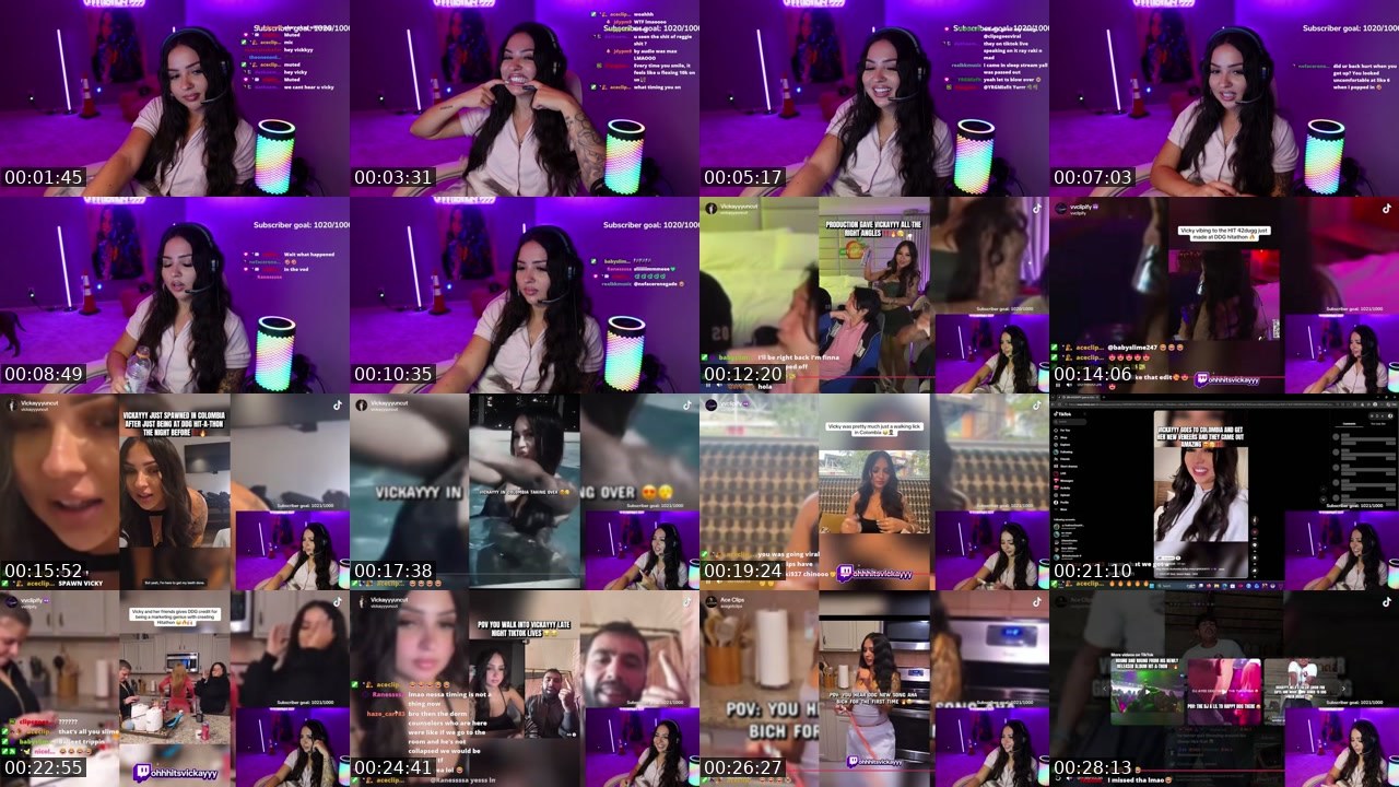 Contact-sheet preview of ohhhitsvickayyy's Twitch recording
