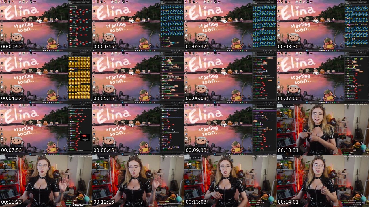 Contact-sheet preview of Elina's Twitch recording
