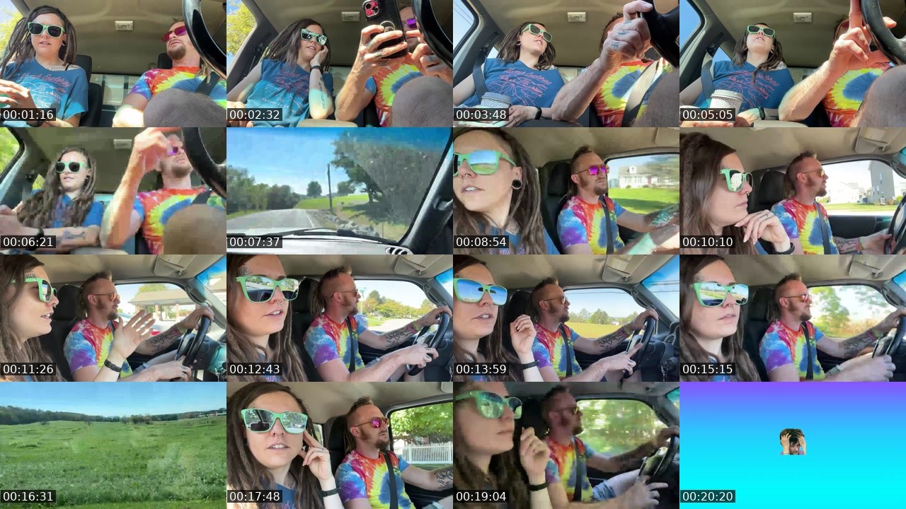 Contact-sheet preview of AlyssaWilds's Twitch recording