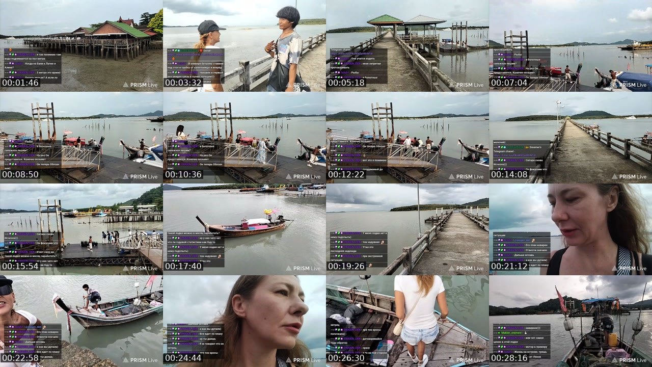 Contact-sheet preview of rodinafromthai's Twitch recording