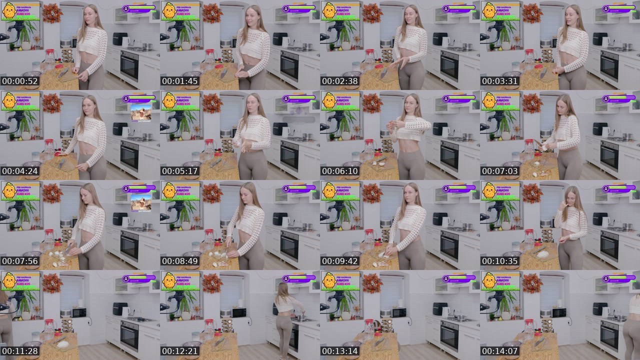 Contact-sheet preview of Gavrilka's Twitch recording