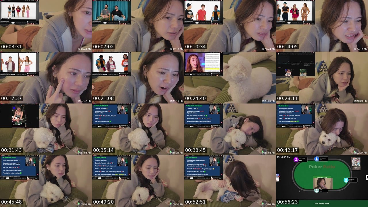 Contact-sheet preview of WithinLUXE's Twitch recording
