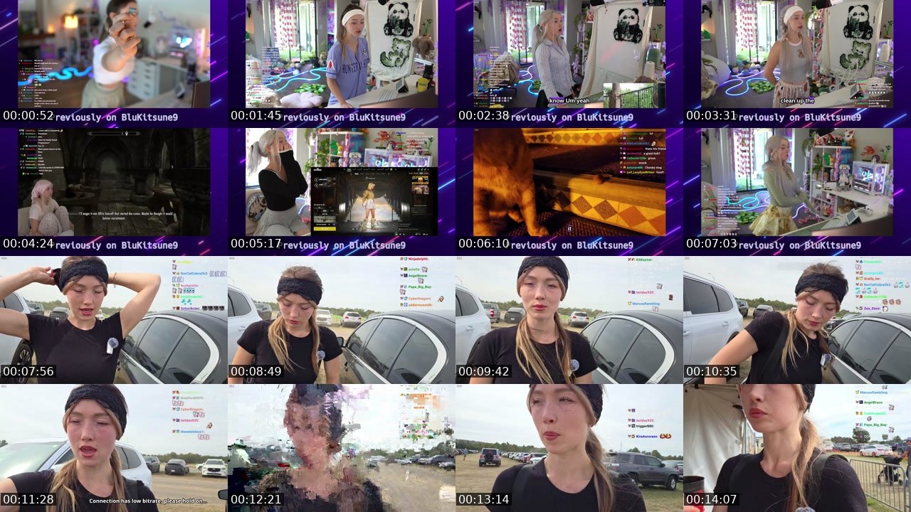 Contact-sheet preview of BluKitsune9's Twitch recording