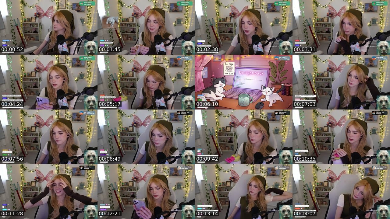 Contact-sheet preview of hollsbeauti's Twitch recording
