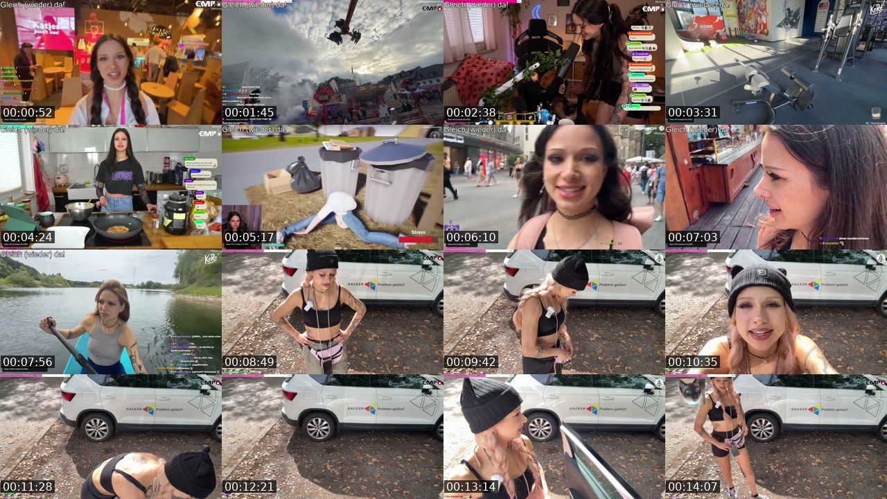 Contact-sheet preview of almostfeline's Twitch recording