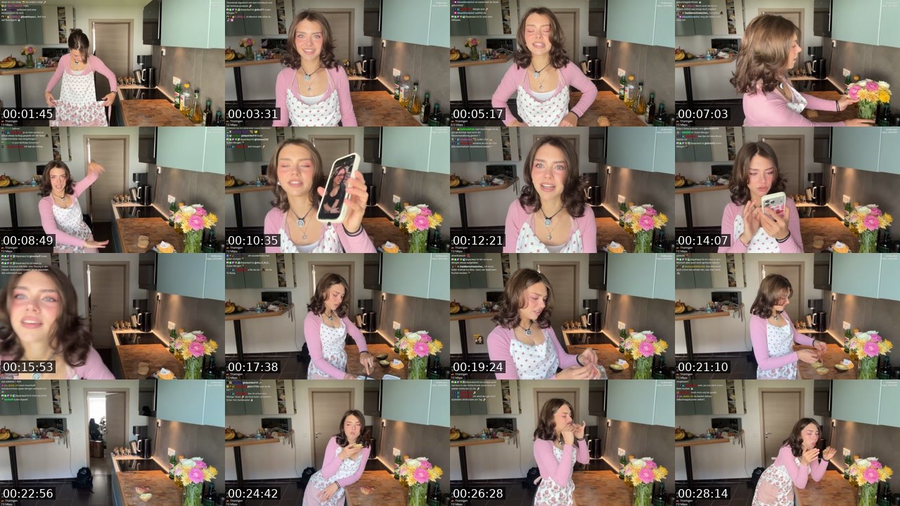 Contact-sheet preview of schiddii's Twitch recording