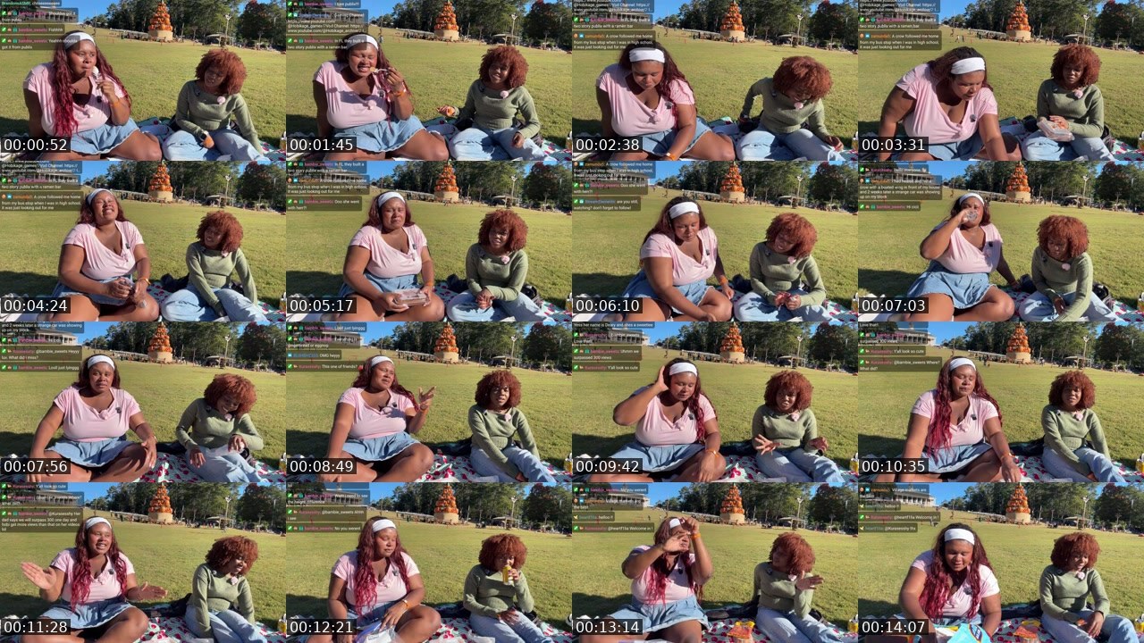 Contact-sheet preview of Hobikage's Twitch recording