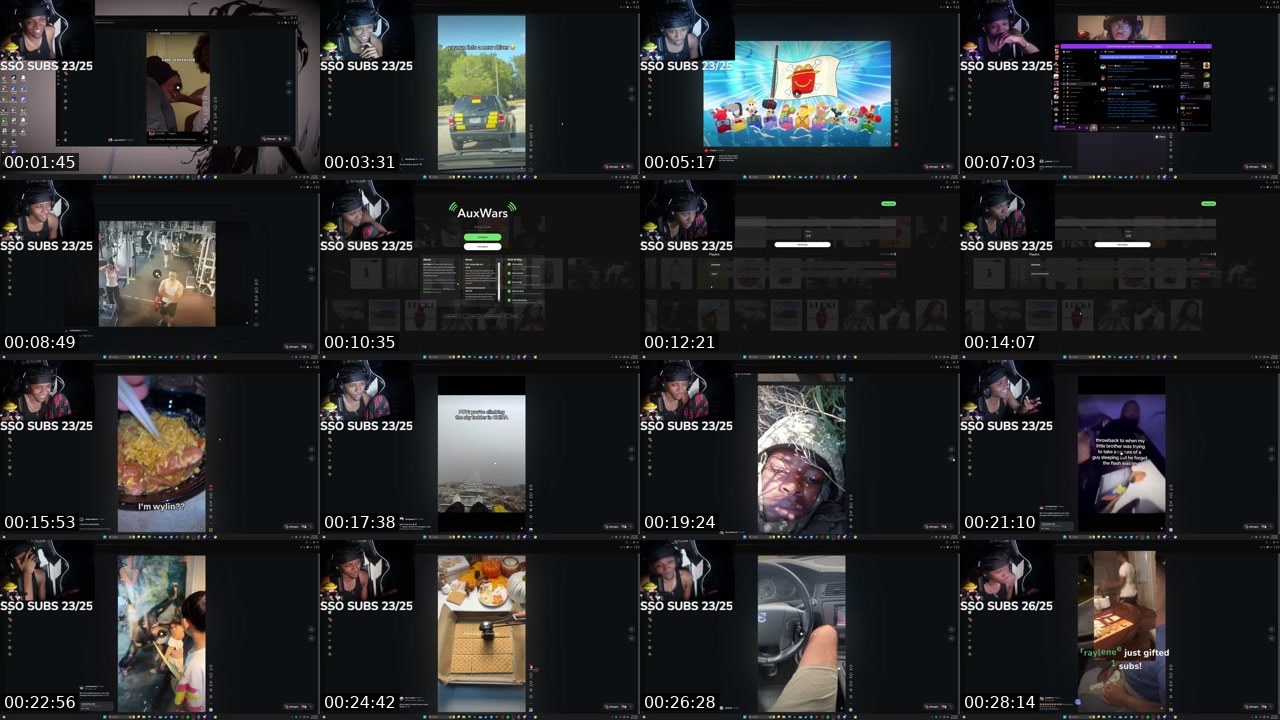 Contact-sheet preview of snoozegxd's Twitch recording
