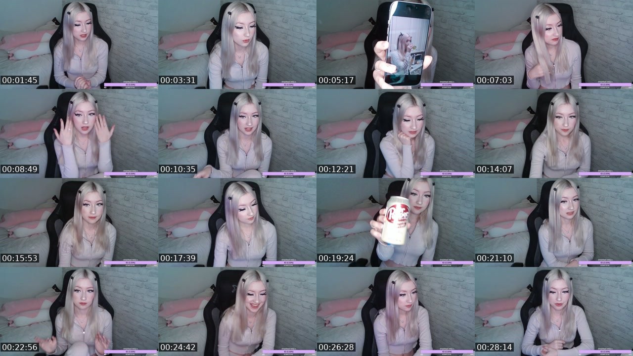 Contact-sheet preview of AnskuLuva's Twitch recording