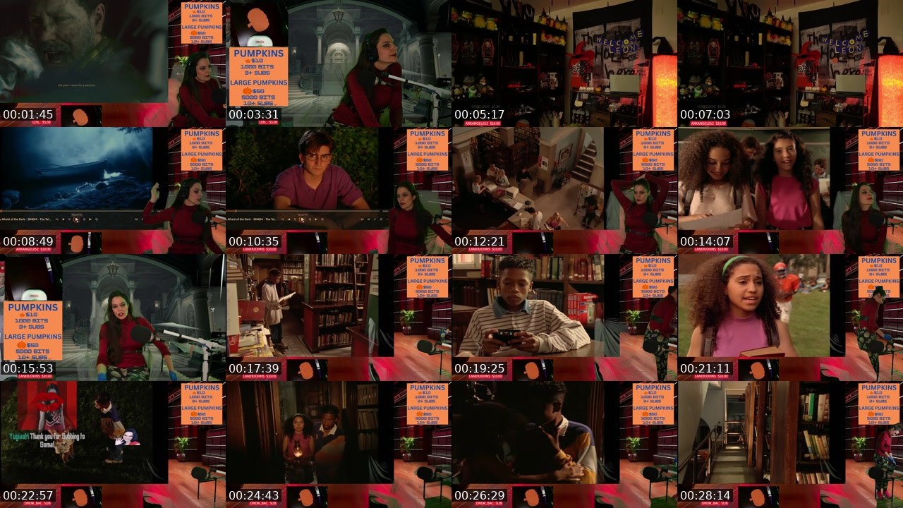 Contact-sheet preview of somagreen's Twitch recording