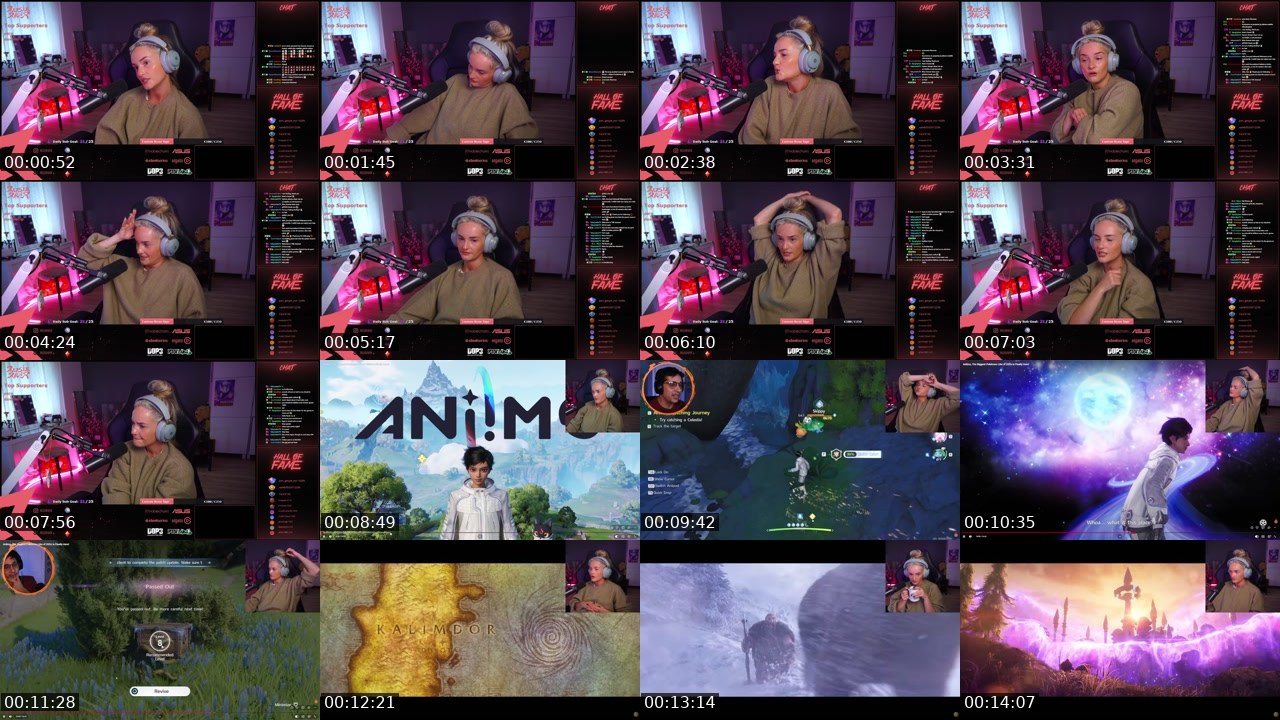 Contact-sheet preview of RosieRiver's Twitch recording