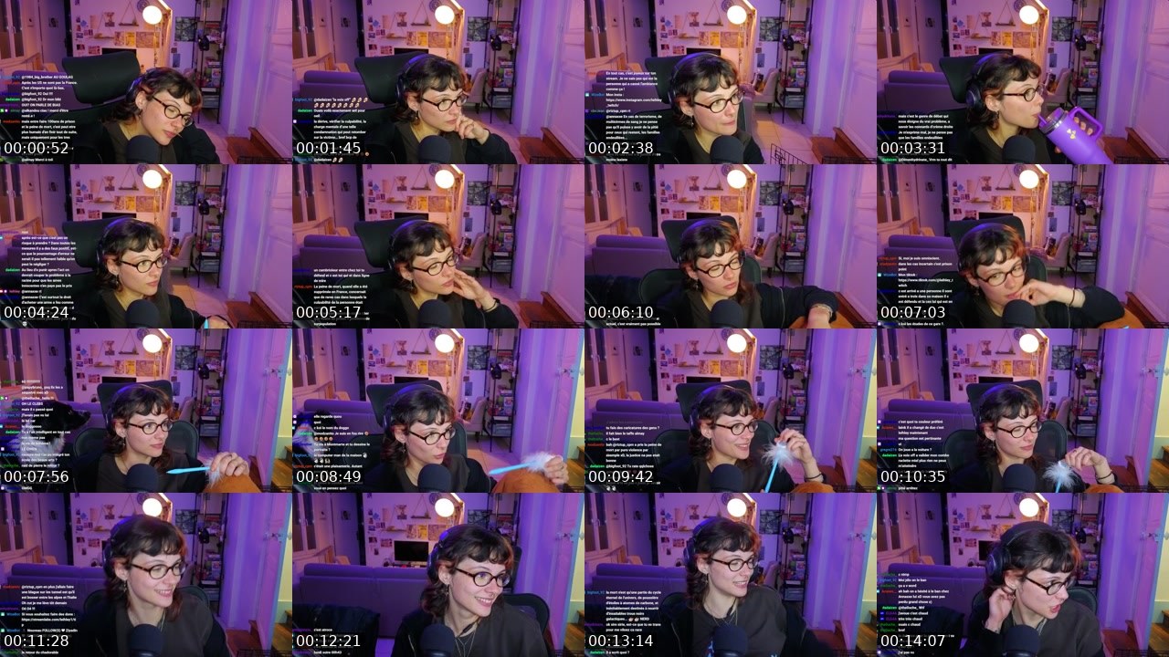 Contact-sheet preview of leihley's Twitch recording