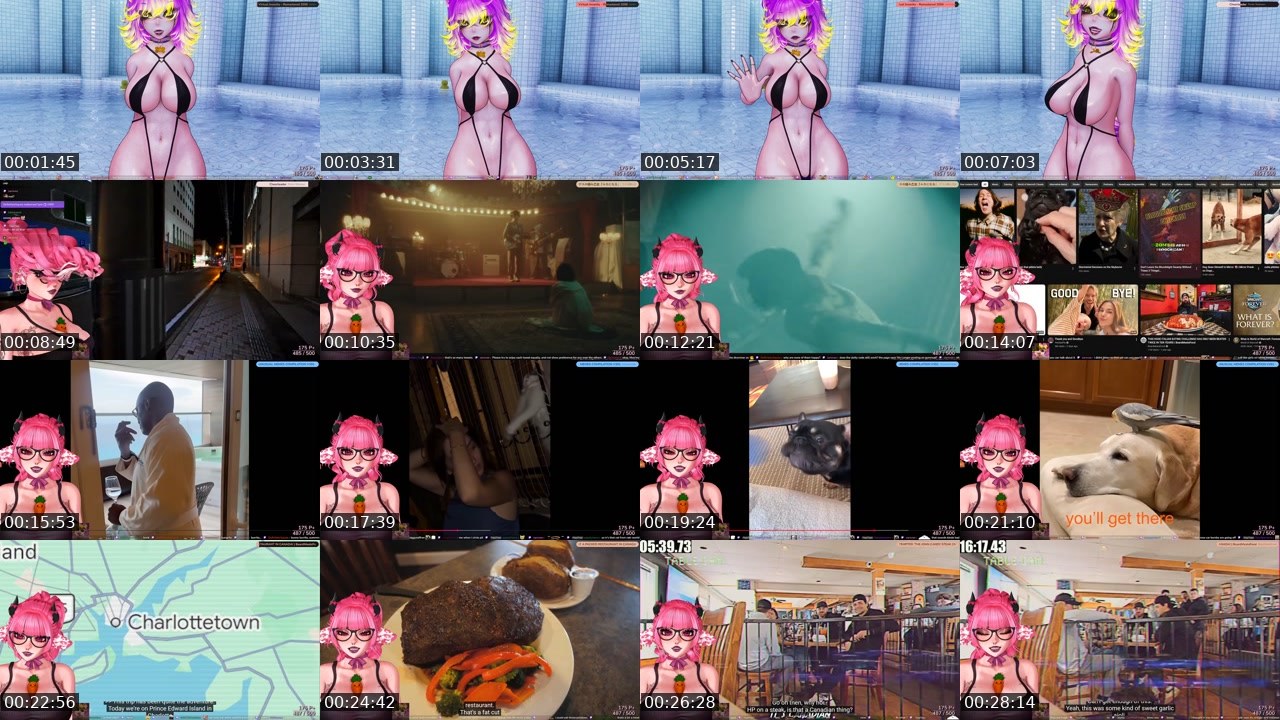 Contact-sheet preview of akiwoo's Twitch recording