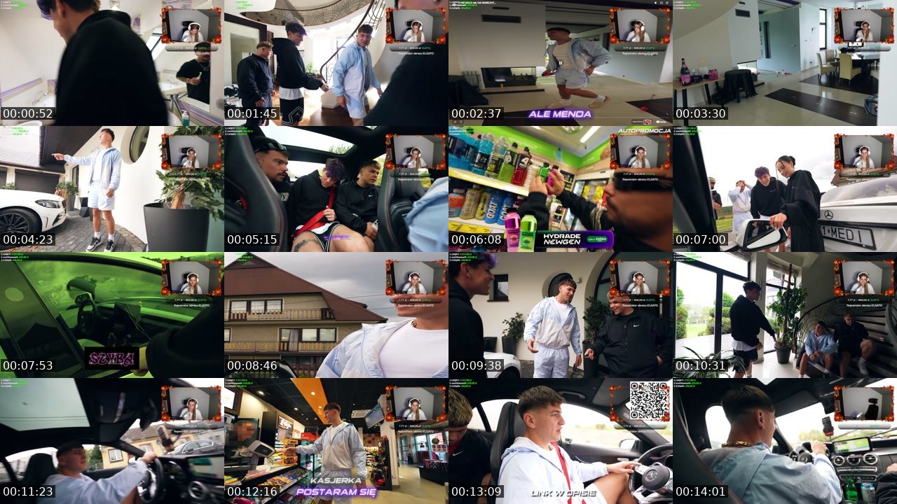Contact-sheet preview of wika_011's Twitch recording