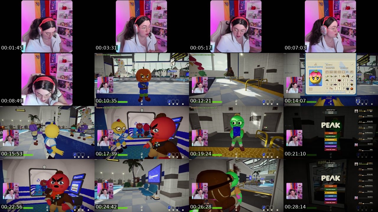 Contact-sheet preview of Bambirini's Twitch recording