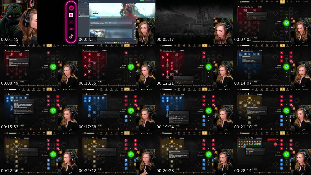 Contact-sheet preview of ParanoidPixi3_ZA's Twitch recording
