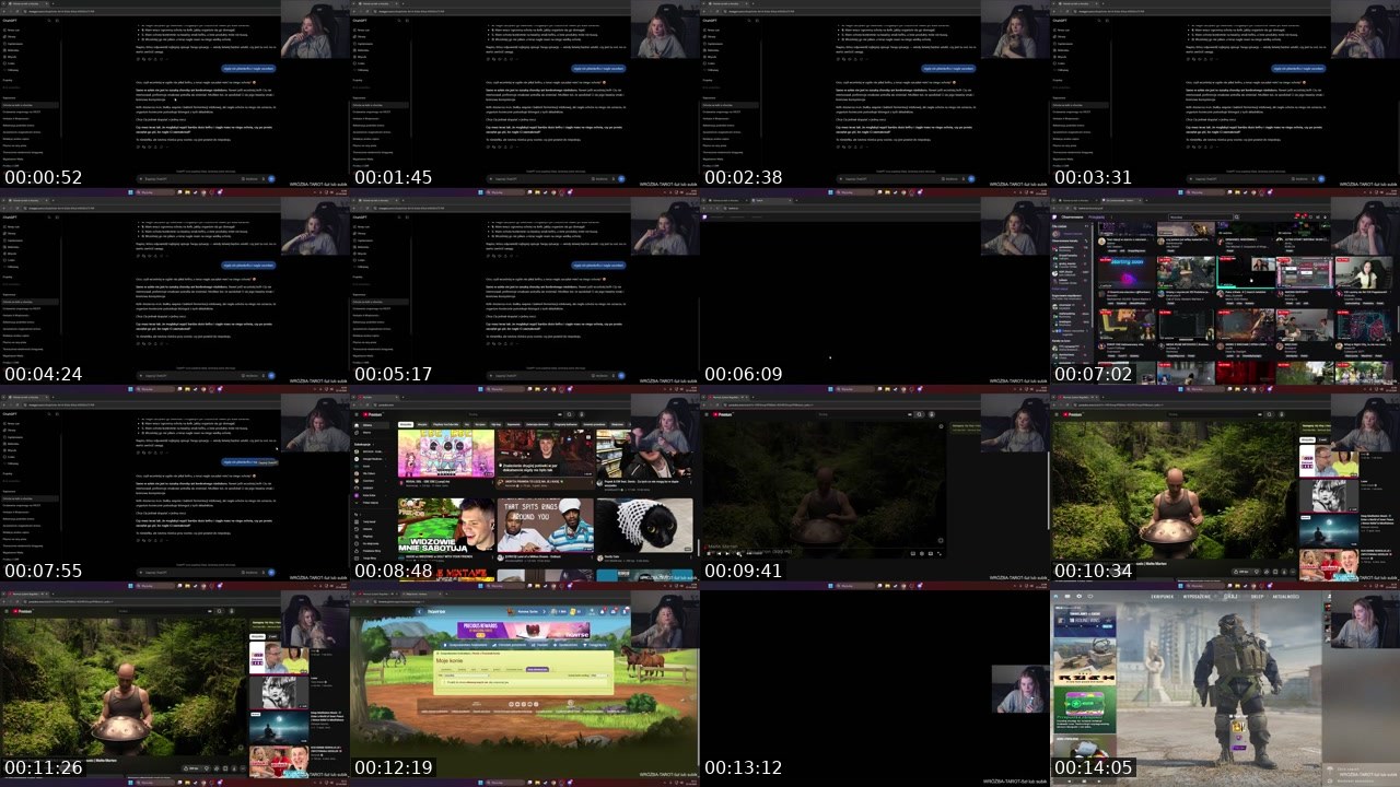 Contact-sheet preview of tygrysicaaa's Twitch recording