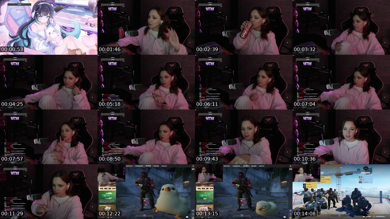 Contact-sheet preview of pizzavika's Twitch recording