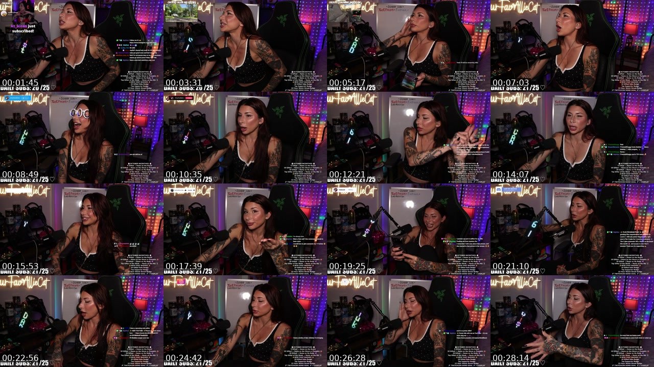 Contact-sheet preview of YourFavAllieCat's Twitch recording